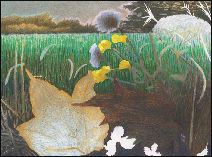 2024 Buntstift, 23x31cm
 